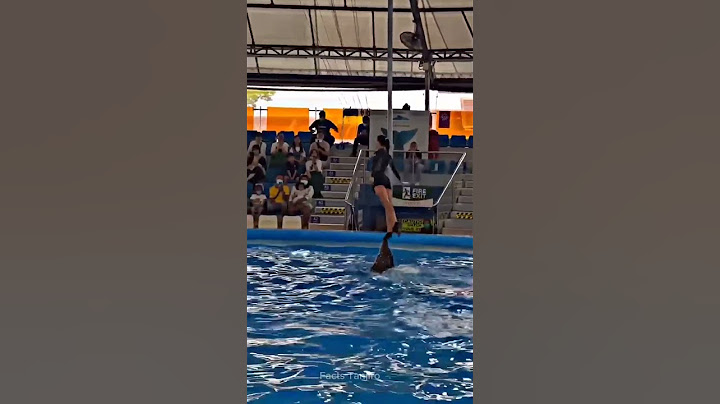 Jab Dolphin trick Me Hui Gadbad #shortvideo