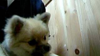 20090321 3