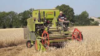Moissons en 1960 ou en 2026 #agriculture #farming #claas #oldtractors #moisson #moissoneuse