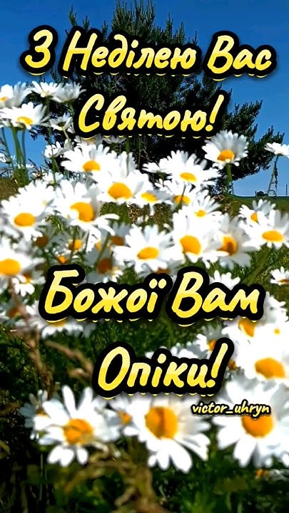 З НЕДІЛЕЮ ВАС СВЯТОЮ! #привітання #вітання #неділя #побажання - YouTube