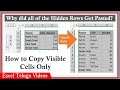 How to Copy Visible Cells only in Excel || MS Excel in Telugu