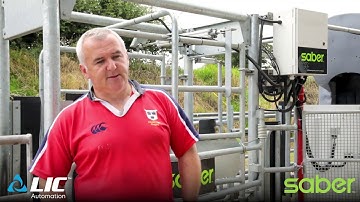 Brian Ronyane on Saber Draft - "We Now Have Complete Confidence When We Select Cows For Drafting"