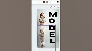 How to use Frames in Canva Part 1