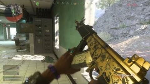 Call of Duty®: Modern Warfare Warzone: Double Riot Shield