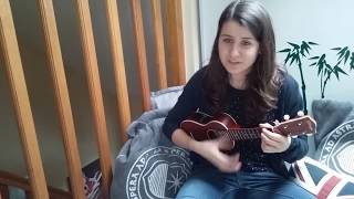 Video thumbnail of "Une belle histoire - Michel Fugain - ukulele cover"