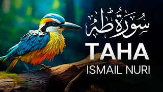 Surah Taha - Ismail Nuri - Beautiful Recitation| سورة طه قارئ إسماعيل نوري قراءة رائعة