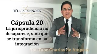 Cápsula 20 La jurisprudencia no desaparece, sino que se transforma en su integración