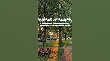 تلاوة من سورة النمل بصوت #إسلام_صبحي #القرآن_الكريم #تلاوة_القران_الكريم #2023 💞🕊