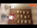 Cómo hacer una incubadora Fácil con Thermocol Box || Incubadora para huevos de gallina