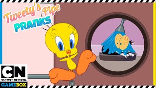 Tweety's Pipe Pranks: Looney Tunes - Jogue gratuitamente na Friv5