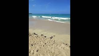 Beach day in Puerto Plata (Virgin Voyages)