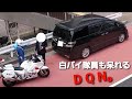 白バイ隊員も呆れるDQNヴェルファイア【歩行者妨害】