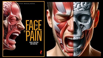 Decoding Pain: A Journey Through Facial Expressions by Dr. Freitas-Magalhães, Ph.D.