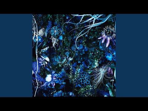 Phoenix -Hino Tori-
