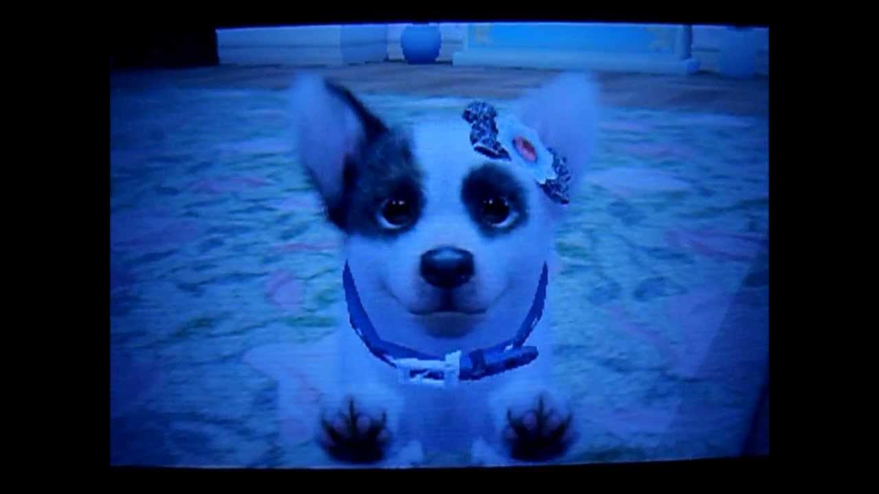 nintendogs corgi