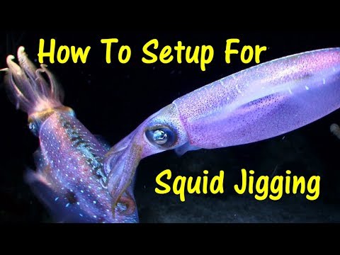 How To Setup for Squid Jigging 