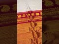 #TempleBorderSaree #GadwalSilk #HandloomSaree #PureSilkSaree #TraditionalWeaves #Southindansaree
