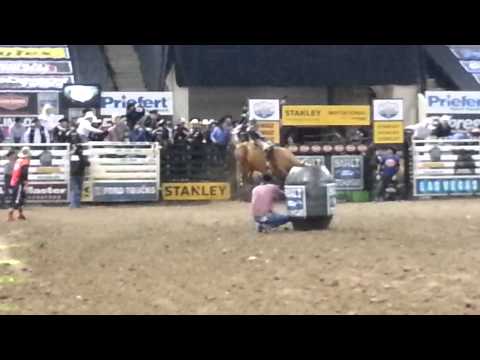 BushWacker