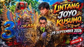 LIVE  JARANAN LINTANG JOYO KUSUMO 2 ATRAKSI BARONG X MACANAN || DEREK PASPAN ||