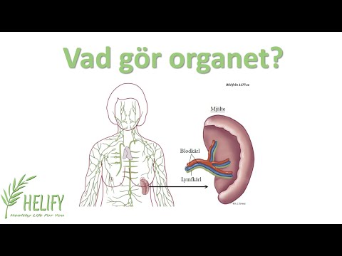 Video: Vad är Mjälte?