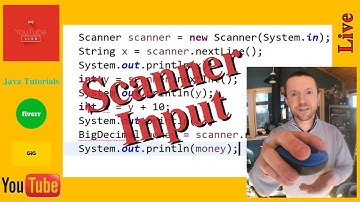 Scanner Input in Java | Live #7 Programming Practice for Beginners