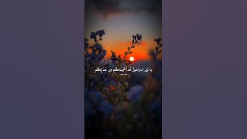 #قرآن_كريم #محمد_ايوب #سورة_طه #الوطن_العربي #quran #quran_kareem #islam #islamic