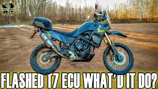 Testing The Tenere 700 After ECU Flash By 2 Wheel Dynoworks