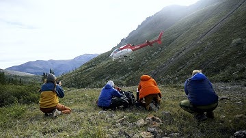 Searching for Signs of the Oldest Animal Life on Earth