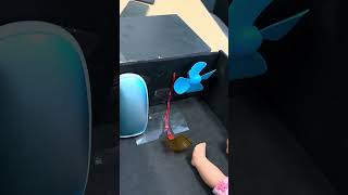 IMG 5426