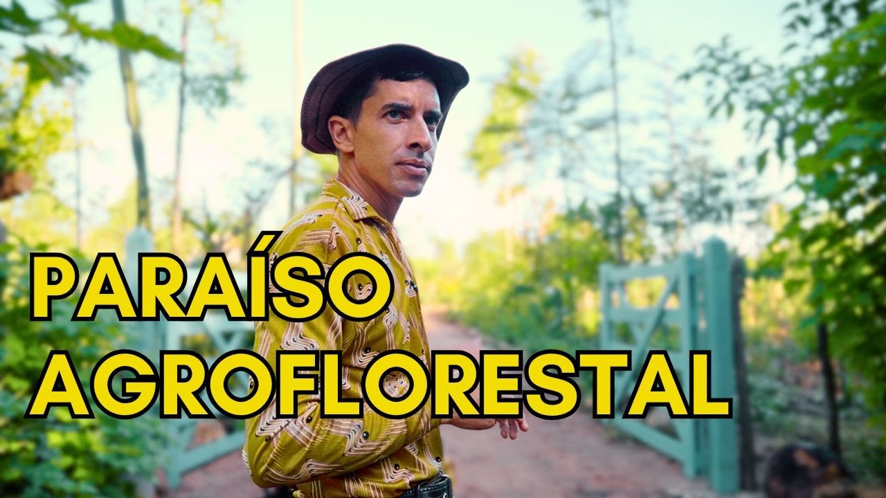 Tour Completo pelo Sítio (ATUALIZADO 2025)