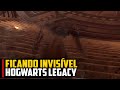 FICANDO INVISÍVEL em Hogwarts Legacy