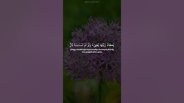 سورة النور ١ - ٥٧(بەتەفسیری کوردی) سلمان العتيبي
