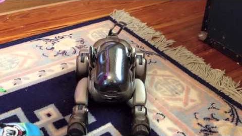 Aibo Dancing to "Doin