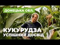 Опыт агрария// Кукуруза. Успешный опыт выращивания в Донецкой области.