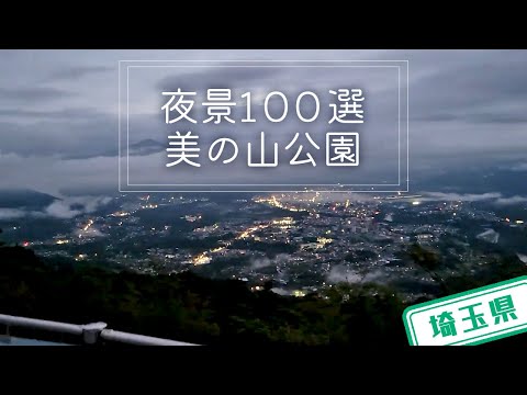 【埼玉県】【夜景100選】トワイライトタイムも魅力「美の山公園」