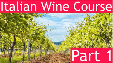 Italian Wine Course Part 1