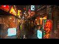 Promenade nocturne pluvieuse  tokyo autour dakabane  4kr