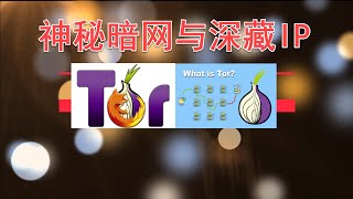 Tor onion browser access to the mysterious dark web and deep IP address