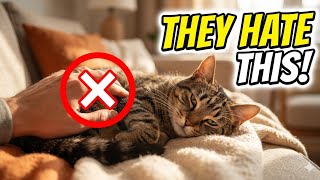 6 Things Your Cat Absolutely HATES  #CatTrust #CatBehavior#PetTips #CatLovers