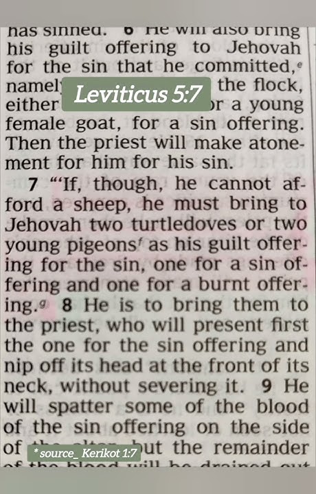 matthew-21-12-13-why-did-jesus-call-the-merchants-selling-at-the-temple