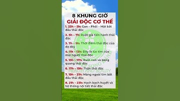 8 khung giờ giải độc cơ thể! #khoedepsonghanh #dinhduong #songkhoe #meo
