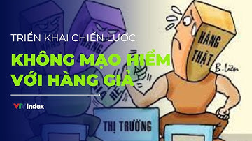 [HẢI QUAN VIỆT NAM] Triển khai chiến lược không mạo hiểm với hàng giả | VTVIndex