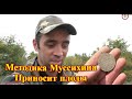 КОПАЮ ПО  МЕТОДИКЕ МУСИХИНА,ЭТО РАБОТАЕТ!!!