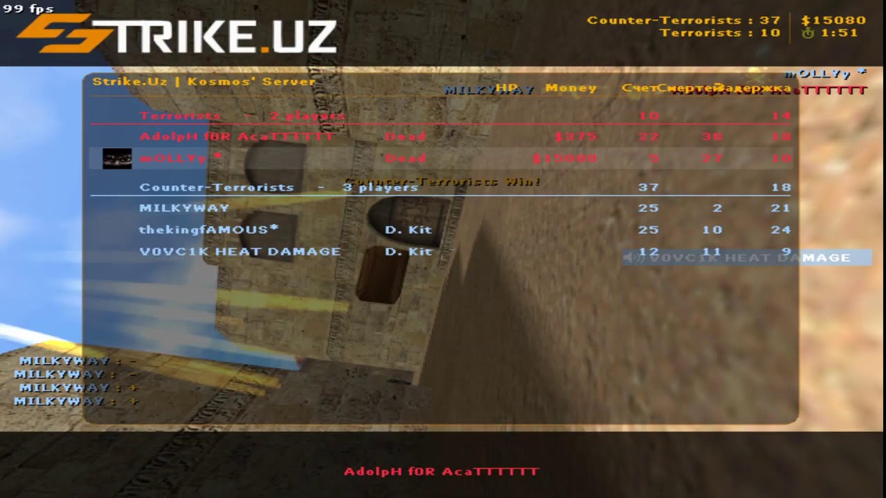 🛑 LIFE STREAM  mOLLy *