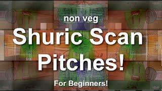Shuric Scan Pitches for Beginners