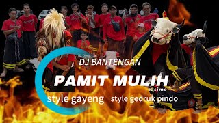 Download lagu DJ BANTENGAN ( PAMIT MULIH ) SATRIO SINGO MOYO remixer @wr24project
