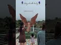 A Day Out With Family At Jardin De Señorita Familytime Familybond Touristplace Touristspot A Day Out With Family At Jardin De Señorita Familytime Familybond Touristplace Touristspot