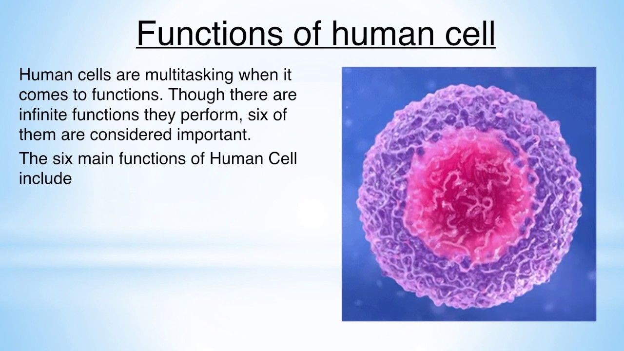 Human topic. Human Cell. Cell#9. Cells of a Living Organism.