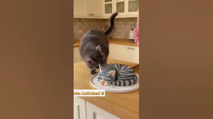 Watch the video about Cat Thought It Was Family #cutecats #cakeart #funny