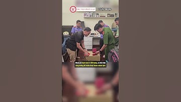 Nóng: Khởi tố, bắt tạm giam diễn viên Trương Ngọc Ánh| THƯ VIỆN PHÁP LUẬT